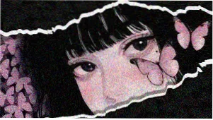 动漫番剧与漫画改编专区